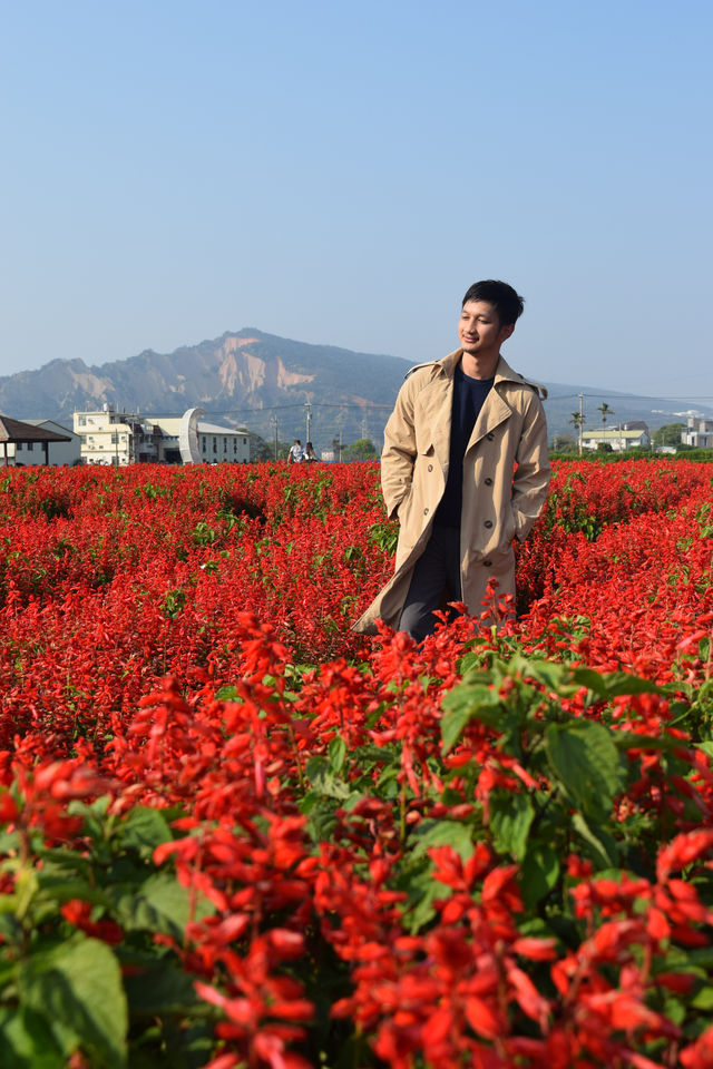 Zhongshe Flower Market in Taichung, Taiwan