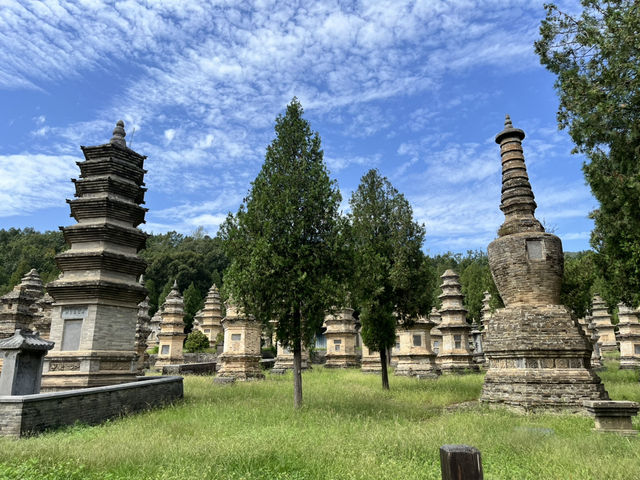 ✨ Henan — A Journey Through Temples, Grottoes & Ancient Capitals