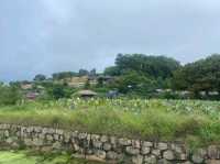 Yangdong Folk Village,