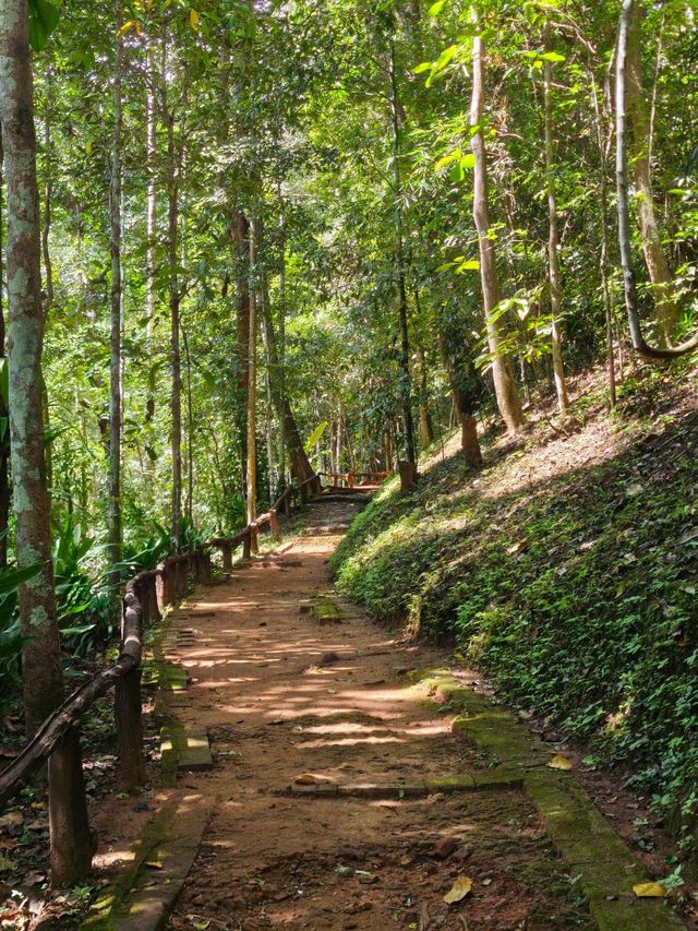 น้ำตกตาดหมอก (แม่ริม เชียงใหม่) 🏞️