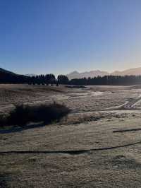 紐西蘭🇳🇿真是 CHILL