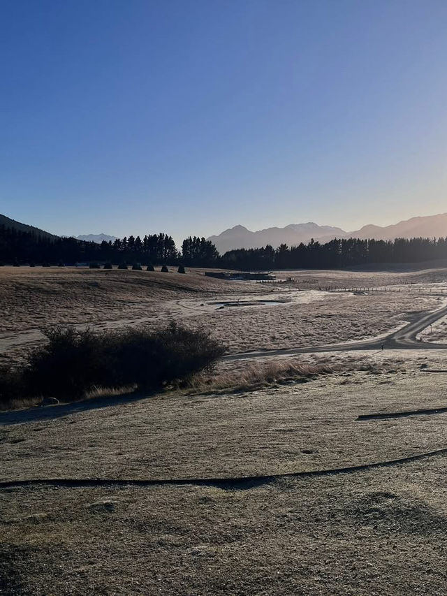 紐西蘭🇳🇿真是 CHILL 紐西蘭🇳🇿真是 CHILL