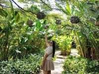 วังเวียง สปป.ลาว