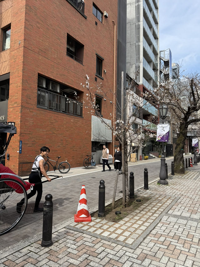 2025.03.28 櫻花季東京獨旅五天四夜行程 p6 第四天行程大公開(3.淺草) 2025.03.28 櫻花季東京獨旅五天四夜行程 p6 第四天行程大公開(3.淺草)
