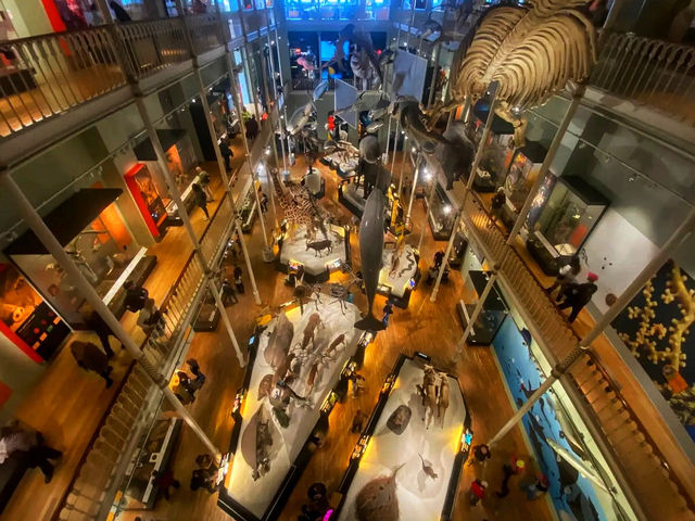 🏛️ Discover Wonders at the National Museum of Scotland ✨  🏛️ Discover Wonders at the National Museum of Scotland ✨