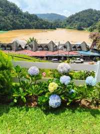 Discover Cameron Highland Lakehouse Scenery 🌿