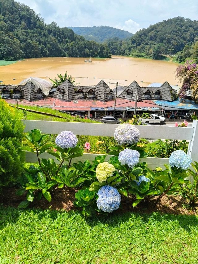 Discover Cameron Highland Lakehouse Scenery 🌿