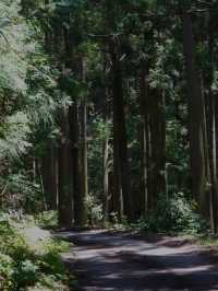 💧 富田の水と山道の小さな滝（和歌山・白浜町）