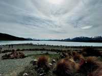Charmed by the Beauty of Lake Tekapo in Canterbury