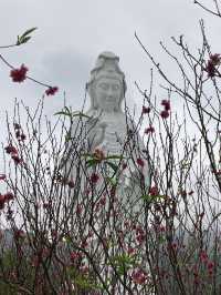 一起來參拜大埔慈山寺的觀音