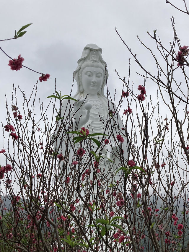 一起來參拜大埔慈山寺的觀音