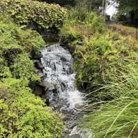 Ayrlies Garden and Wetlands