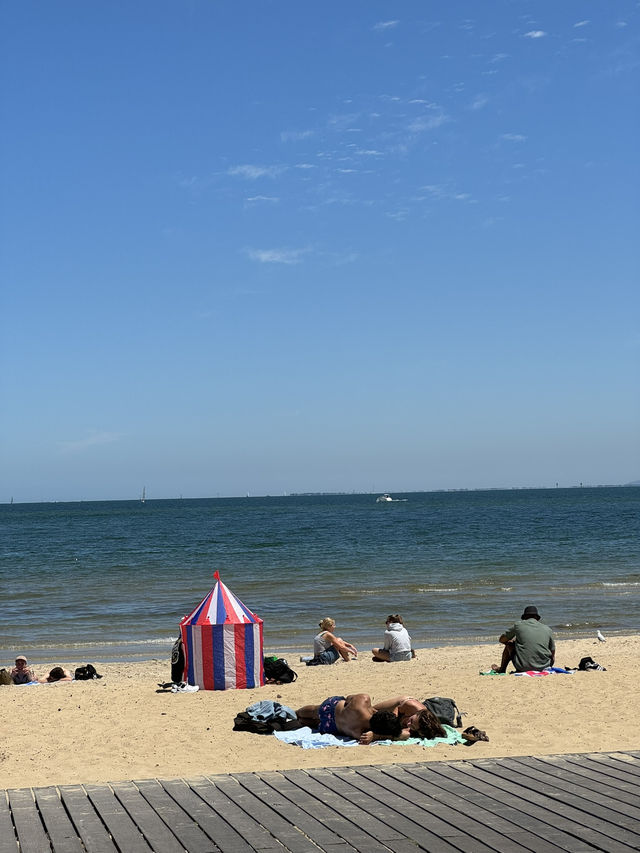 【メルボルン】海と街の魅力が詰まった「セント・キルダ散歩」🚶‍♀️☀️