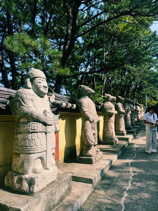 부산 해동용궁사, 바다와 함께 걷는 완벽한 하루  부산 해동용궁사, 바다와 함께 걷는 완벽한 하루
