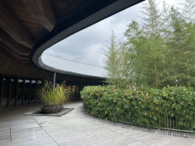 生簀ランチから牧野植物園へ🌿　高知旅