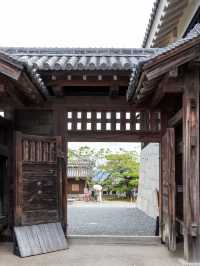 【香川旅行】松山市のシンボルといえば松山城
