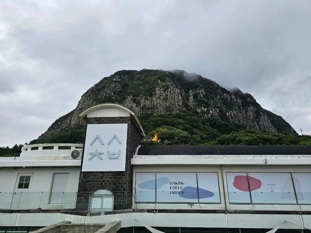 제주3박4일 착한 가격에 알차게 보내는 방법