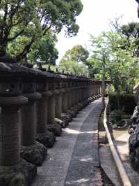【朝倉】香山昇龍大観音🐉天へ昇る白龍と祈りの絶景を拝む旅