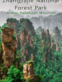 Zhangjiajie National Forest Park @ China