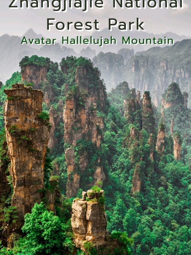 Zhangjiajie National Forest Park @ China
