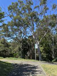 🌳 探訪「總理森林步道Prime Ministers’ Walk」：城市中的森林漫遊