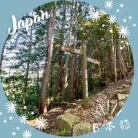 【和歌山】🚶♂️ 心を癒す巡礼路「熊野古道」
