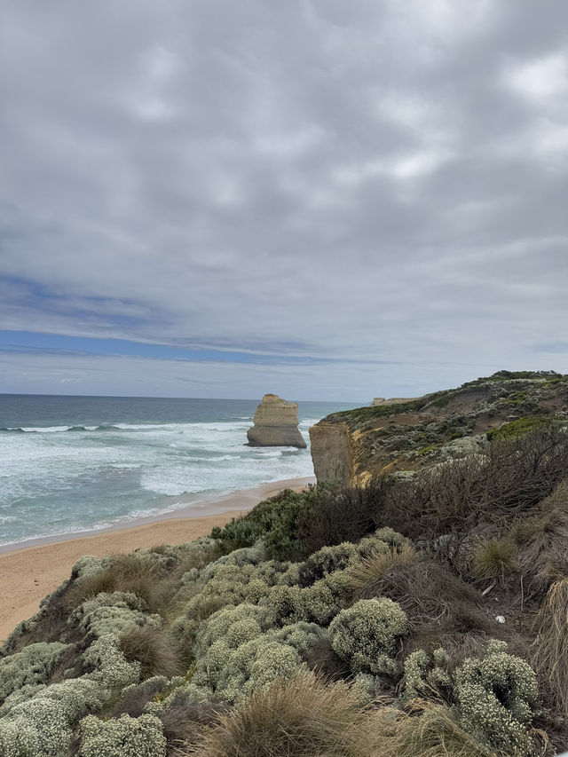 🌊 One Day Road Trip: The Great Ocean Road  🌊 One Day Road Trip: The Great Ocean Road