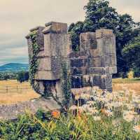 Whispers in White: A Solo Wander Through Bodelwyddan Castle
