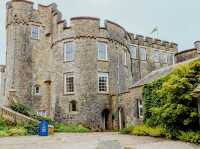Bloom & Stillness: A Solo Escape to Picton Castle Gardens