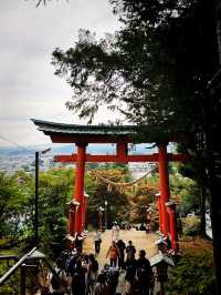 Sengen Park Escape🌳 Panorama view of Mt.Fuji