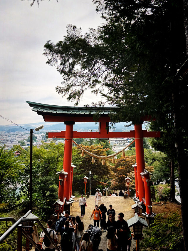 Sengen Park Escape🌳 Panorama view of Mt.Fuji