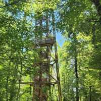 Loorenkopf Tower – Zurich’s Forest Lookout with a City View