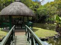 Sir Seewoosagur Ramgoolam Botanical Garden
