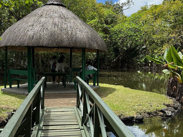 Sir Seewoosagur Ramgoolam Botanical Garden