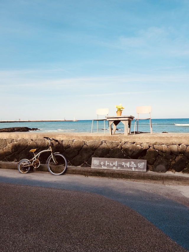 Seaside Perfection✨