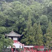Magical Ancient Vibes at Dujiangyan 🏯🌲
