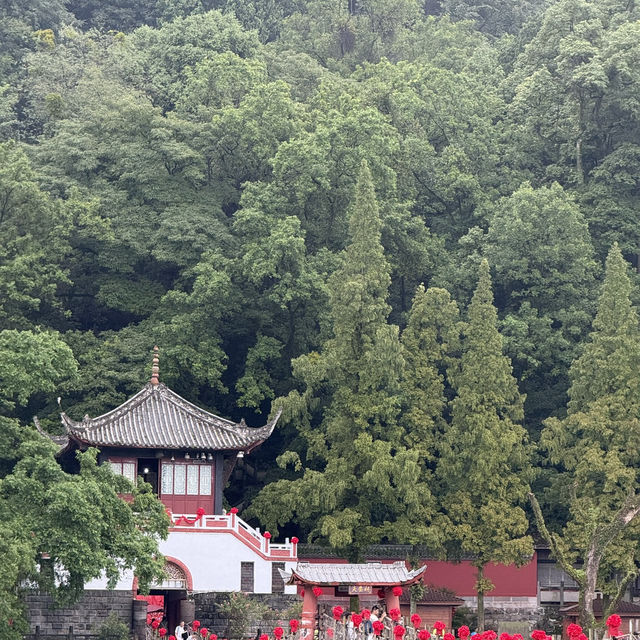 Magical Ancient Vibes at Dujiangyan 🏯🌲 Magical Ancient Vibes at Dujiangyan 🏯🌲