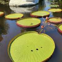 Brookgreen Gardens