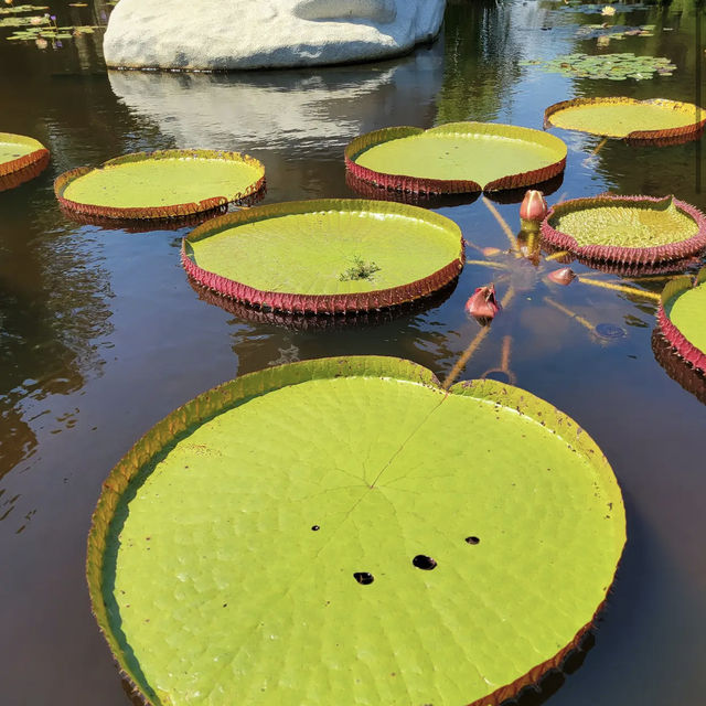 Brookgreen Gardens