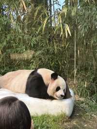 꿈과 환상의 나라 에버랜드로 오세요😁