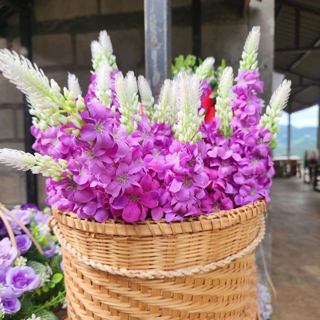 Mae Rim Flower Power: Hydrangea Selfie Spots & Insta Garden Magic 🌸🌦️ Mae Rim Flower Power: Hydrangea Selfie Spots & Insta Garden Magic 🌸🌦️