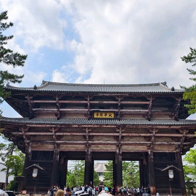 5 จุดต้องแวะ เมือง nara 5 จุดต้องแวะ เมือง nara