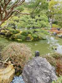 Kyoto's Secret Palette: A Solo Afternoon at Jonan-gu