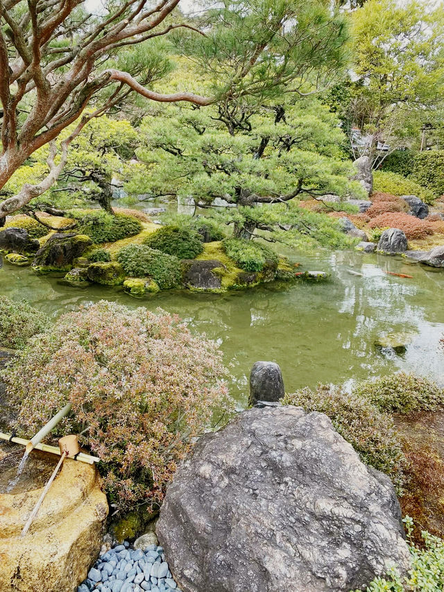 Kyoto's Secret Palette: A Solo Afternoon at Jonan-gu