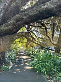 A Peaceful Green Escape in the Heart of Auckland
