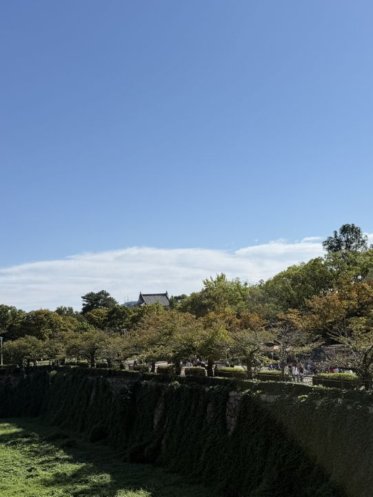 Japan 🇯🇵 Trip 2025