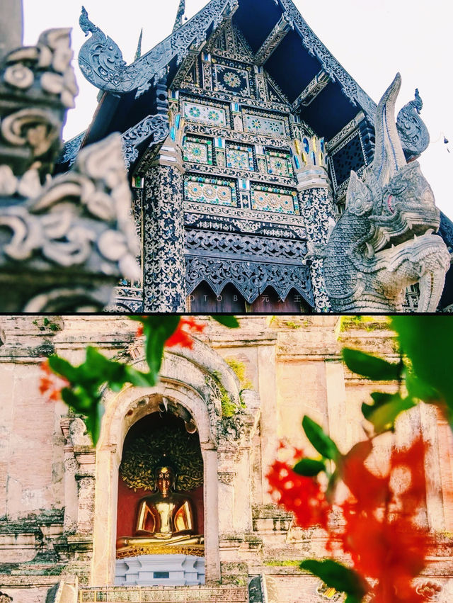 泰國🇹🇭清邁古城