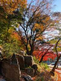 🍁아차산 산길을 걸으며