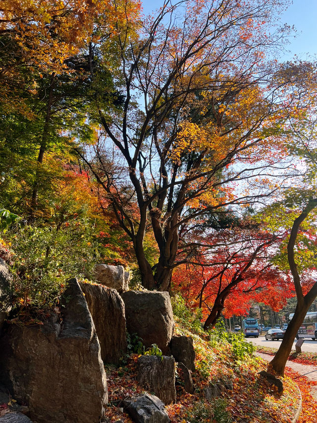 🍁아차산 산길을 걸으며