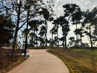 Evergreen Garden: Pyeongtaek’s Secret Sanctuary of Stillness🌿